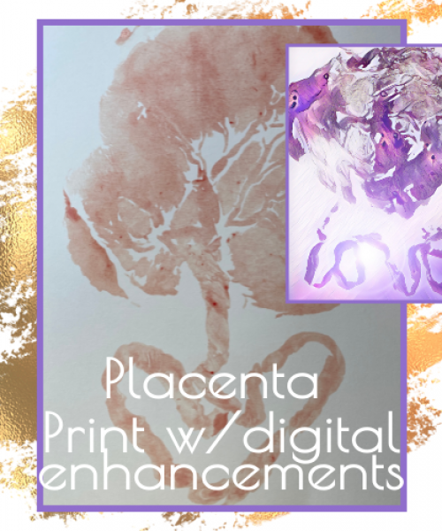 placenta encapsulation services heather meyer placenta print add on keepsake